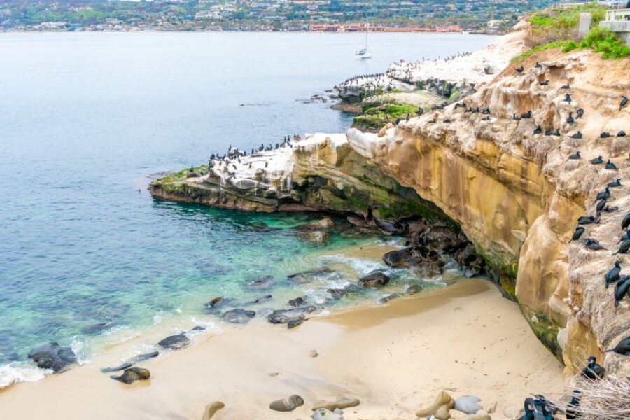 3 Best Food Tours In La Jolla
