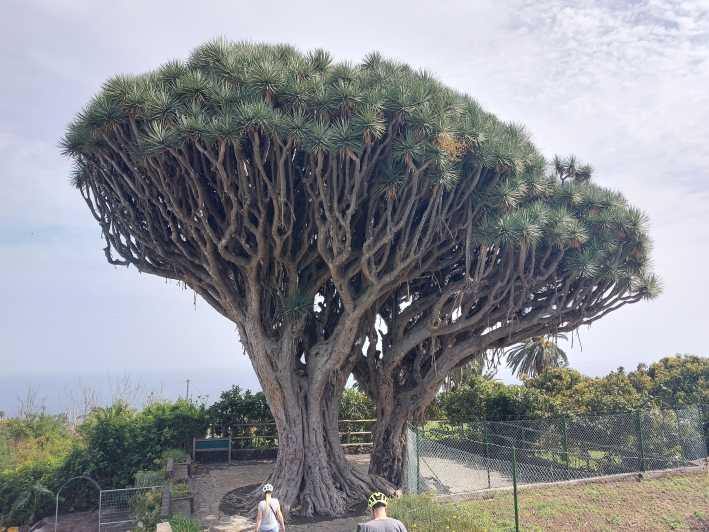 La Palma: Discover the Beautiful Island With an Electric Bike