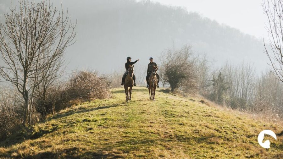 Lake Como: Horseback Adventure & Tasting With Amazing Views - Overview and Pricing