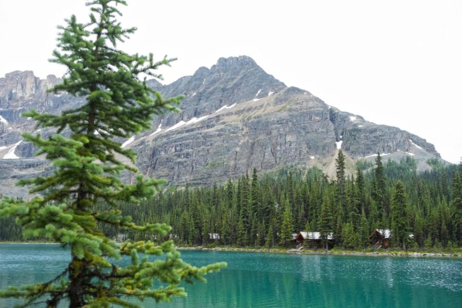 Lake Louise: Moraine & Louise Lake Half-Day Highlights Tour