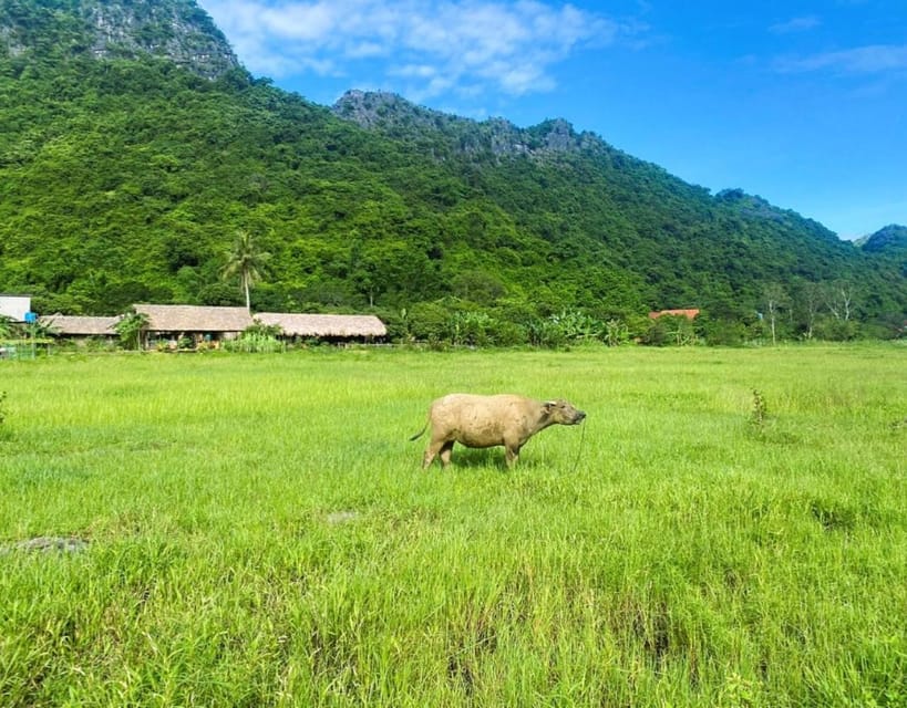 Lan Ha Bay Cruise 2d1n: BBQ Dinner and Ancient Village