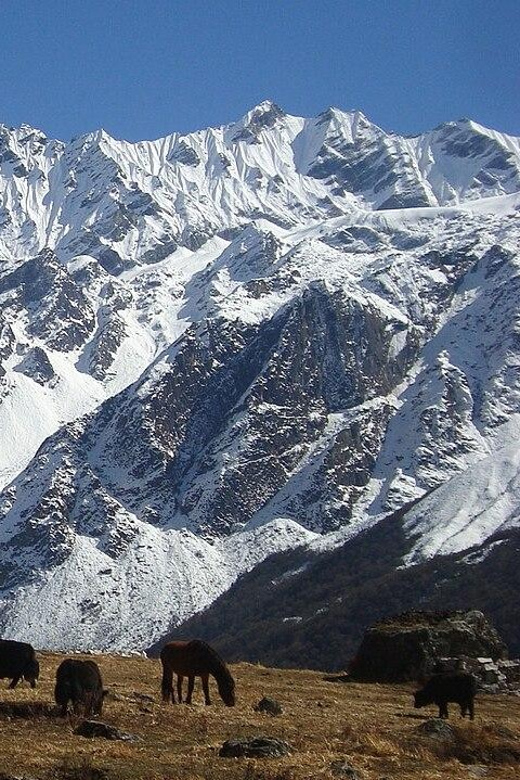Langtang Valley Trek
