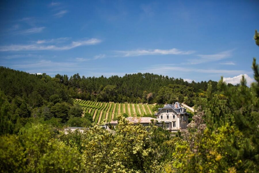 Languedoc: Heritage Tour & Tasting at Domaine De Baronarques