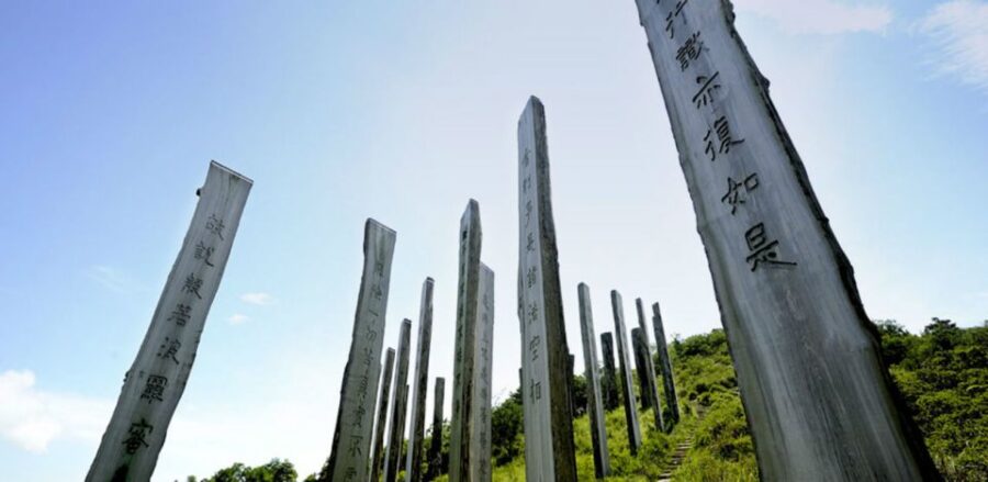 Lantau: Ngong Ping Cable Car Private Skip-the-Line Ticket - Ticket Details and Pricing