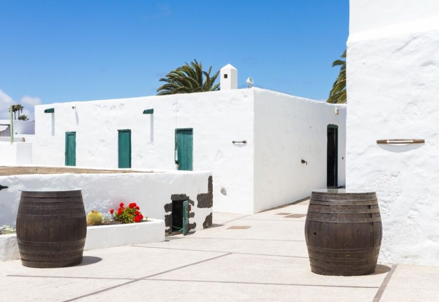 Lanzarote: Audio Guided Tour of the El Grifo Wine Museum - Tour Overview and Pricing