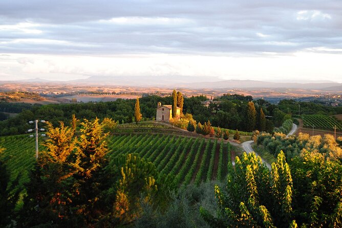 Lapi&Tour Guided Tour of the Cellars With Wine Tasting