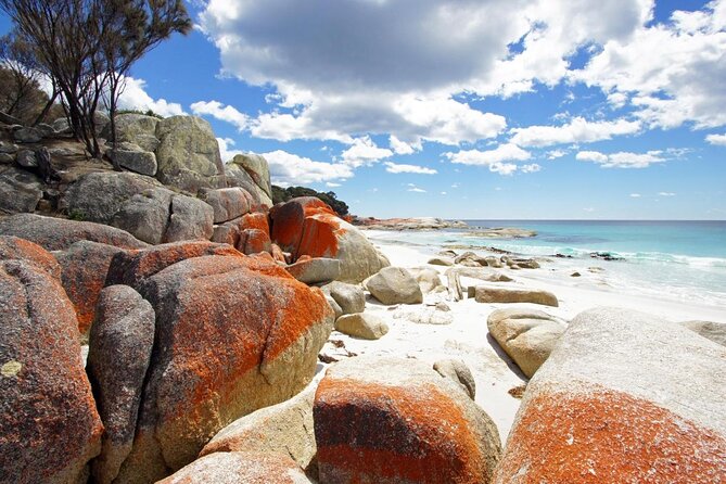 Larapuna / Bay of Fires Hiking Tour – 4 Days