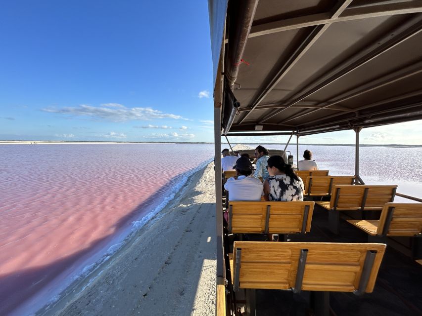 Las Coloradas: Pink Lakes Safari Tour