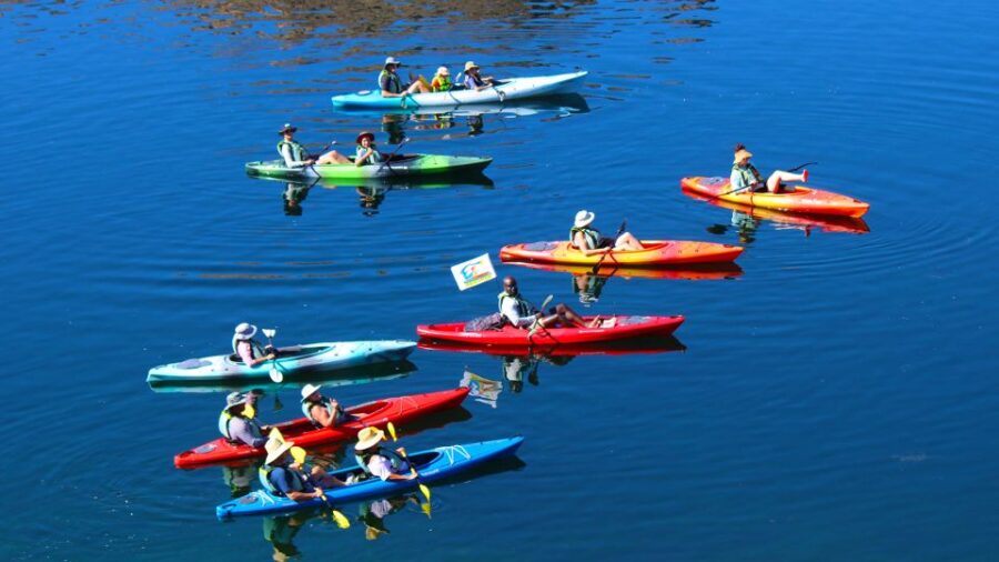 2 Best Tours In Willow Beach Arizona