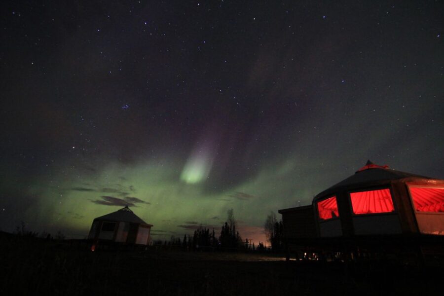 5 Best Dining Experiences In Fairbanks