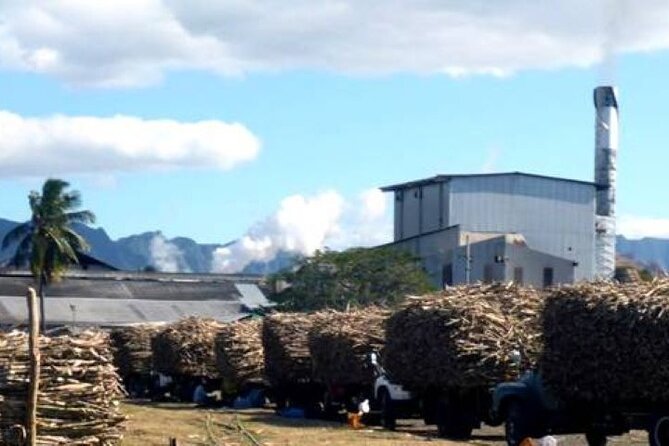 2 Best Shopping Tours In Nadi