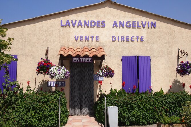 Lavender Fields Tour in Valensole From Marseille - Meeting and Pickup Details