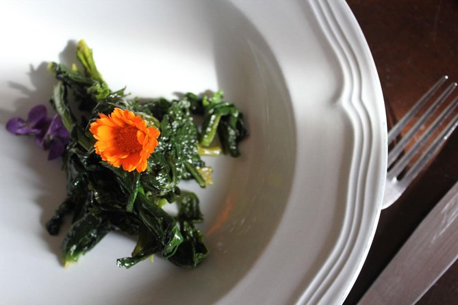 Learn to Cook Regional Italian Cuisine With a Local in a Rural Estate Home