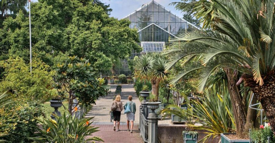 Leiden: Hortus Botanicus Entry Ticket