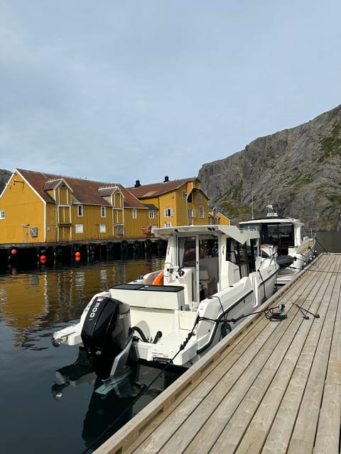 Leknes: 3 Hours Private Exclusive Boat Sightseeing