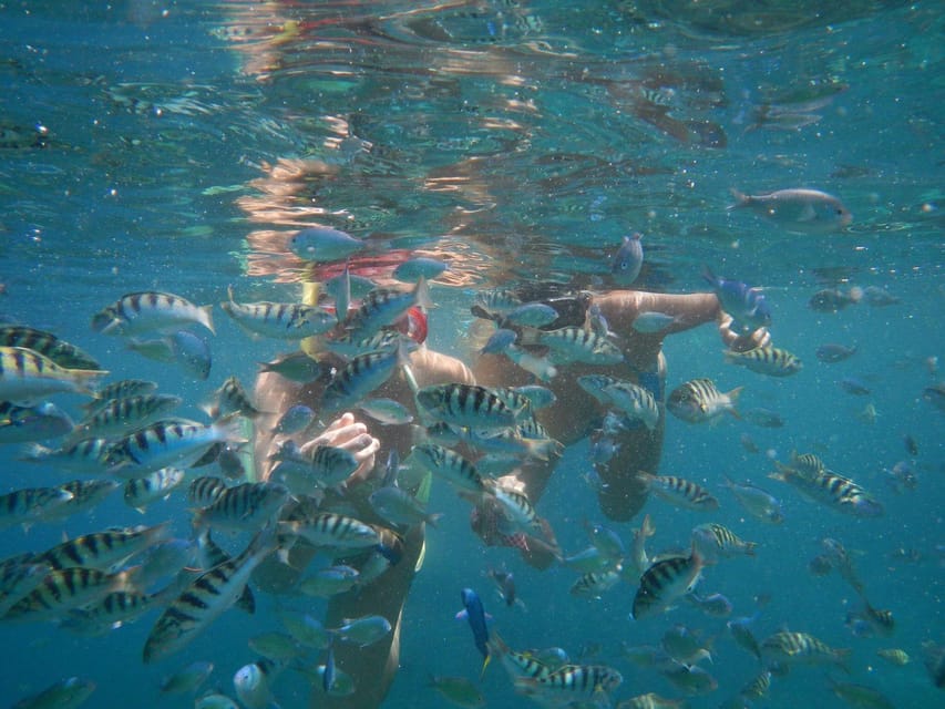 LEMBONGAN:SNORKELING 3 POINT AREA (MANTA,CRISTAL,MANGROVE)