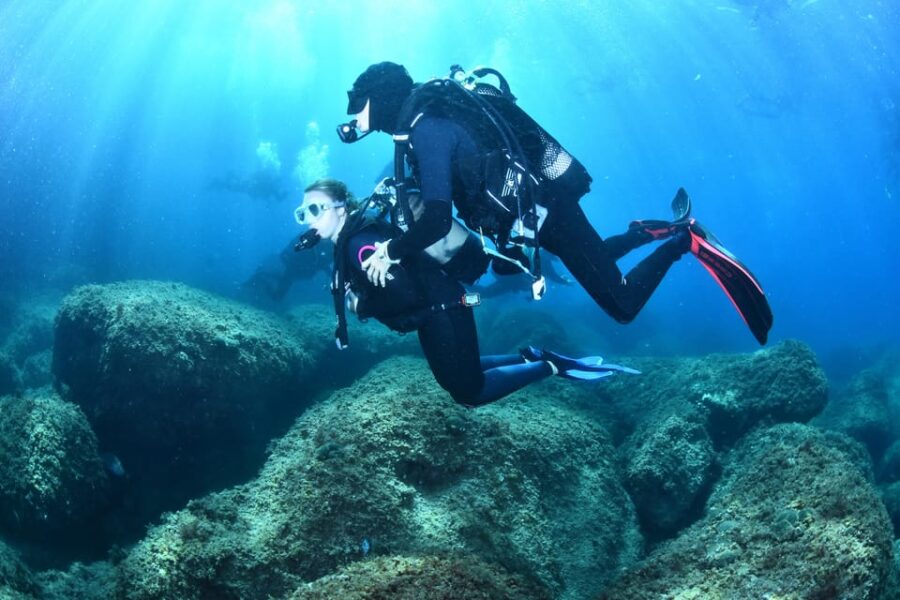 Lestartit: Try Dive in a National Park With Us! - Activity Overview