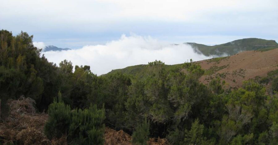 Levada Do Alecrim (Madeira Lakes) Full-Day Walk