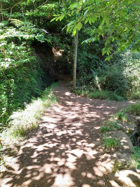 Levada Serra Do Faial, Camacha
