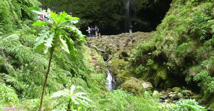 Levada Walk and Caldeirao Verde Waterfalls: Madeira