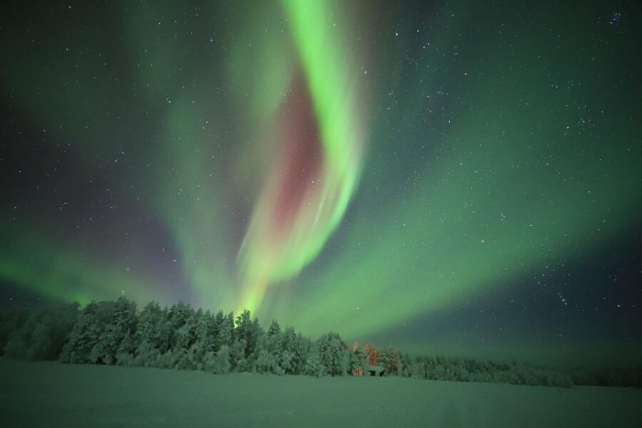 Levi: Aurora Borealis Bus & Snowshoe Tour With Hot Drink