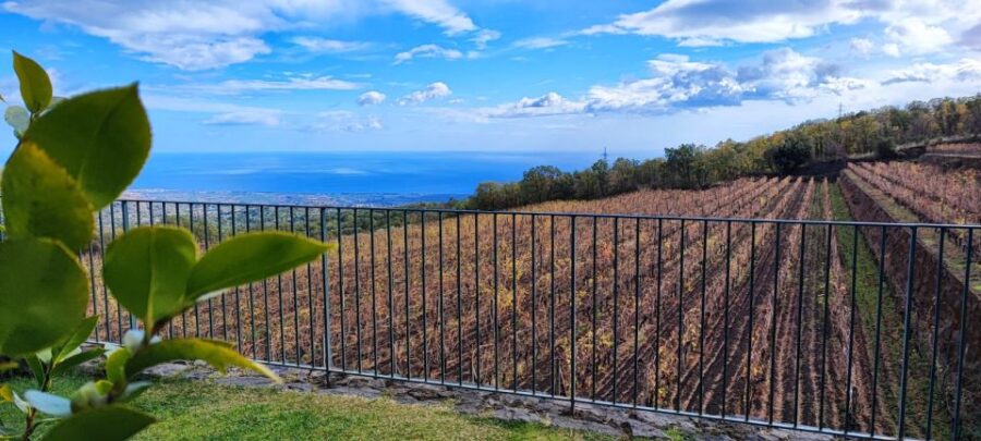 Linguaglossa: Turkish Spa and Massage With Wine Tasting