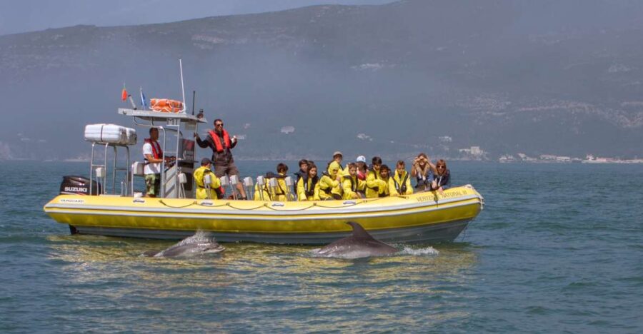 Lisbon: Arrábida Natural Park Dolphin Watching Boat Tour