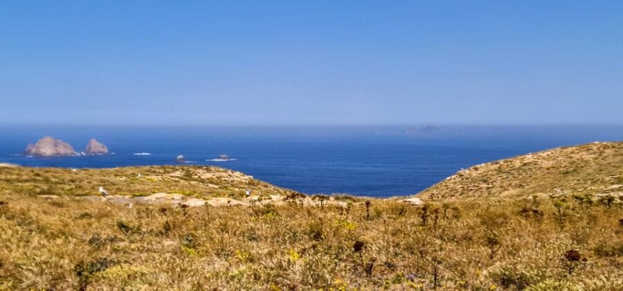 Lisbon: Private Full Day Tour to Berlengas Island