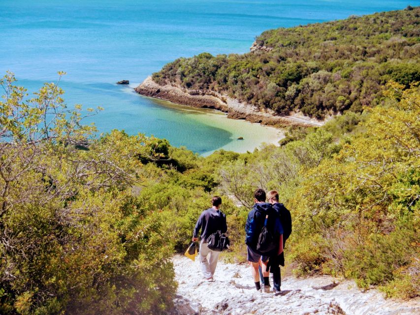Lisbon: Snorkeling and Wine Tasting in Arrábida