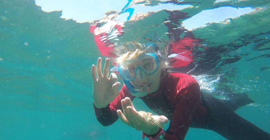5 Best Snorkeling Experiences In Lisbon