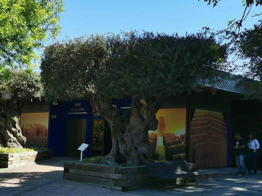 Lisbon to Wine Tasting Setubal, Two Cellars, Half Day Tour