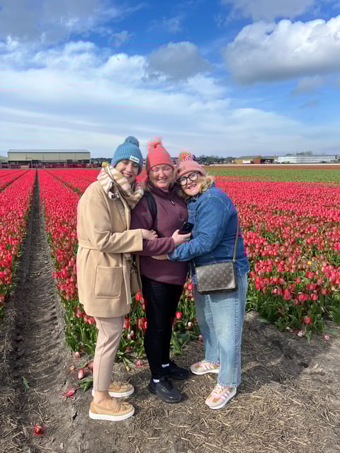 Lisse: Private Tulip Fields Tour With a Local Guide
