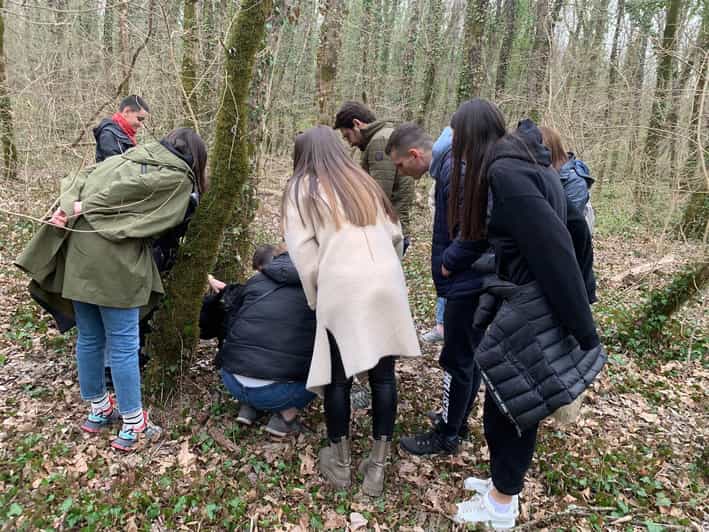 Best Guided Tours In Istria County