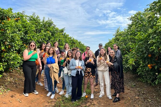 Live an Experience Among Orange Trees in Huerto Ribera