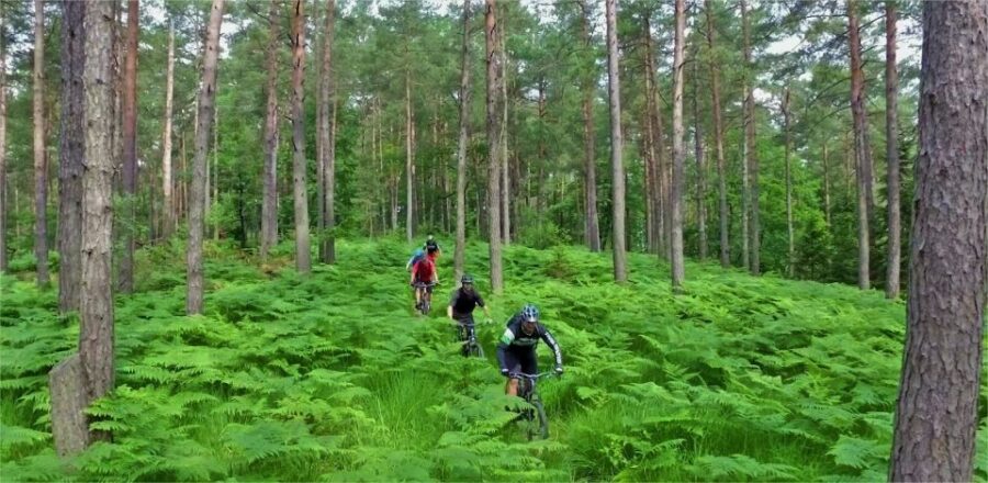 Ljubljana: City Center and Golovec Trails Mountain Bike Tour - Tour Overview