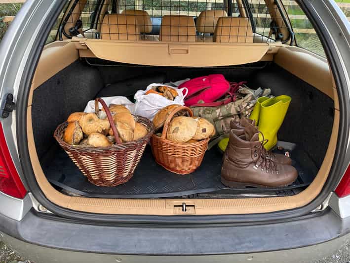 Loch Lomond: Guided Wild Food Forage & Feast