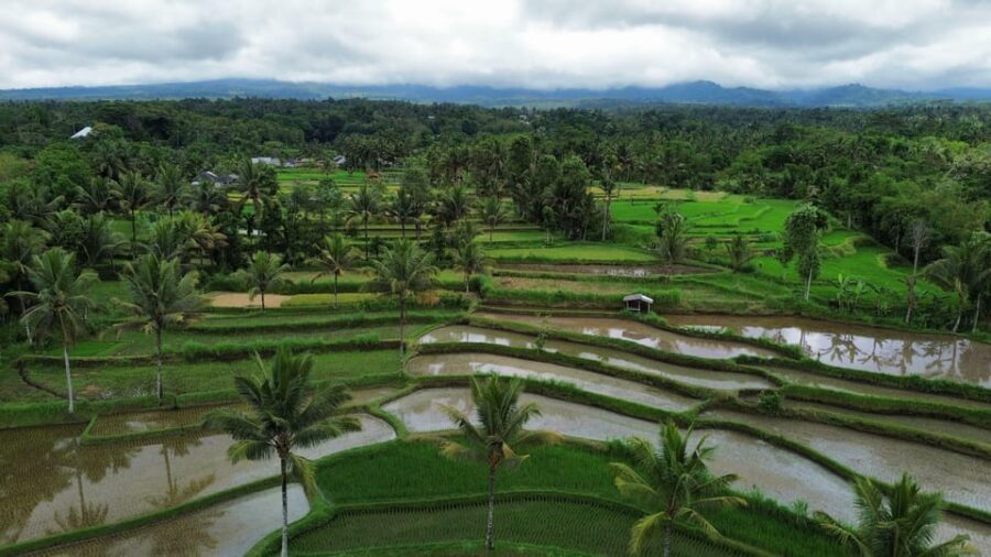 Lombok: Countryside Tour Tetebatu & Benang Stokel Waterfall