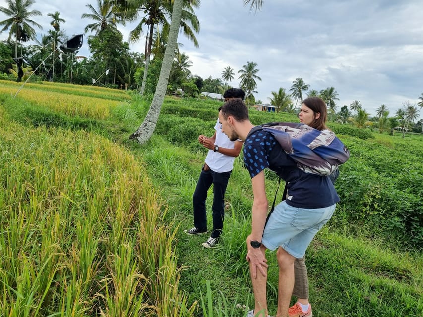 Lombok: Private Customizable Tour With Driver-Guide