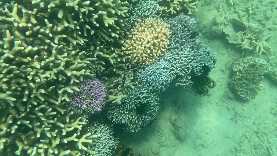Lombok: Private Day Trip Snorkeling in Secret Island
