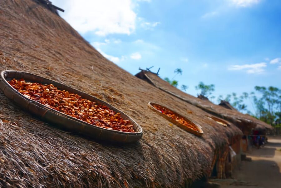 Lombok Tour: Traditional Villages, Culture & Waterfalls