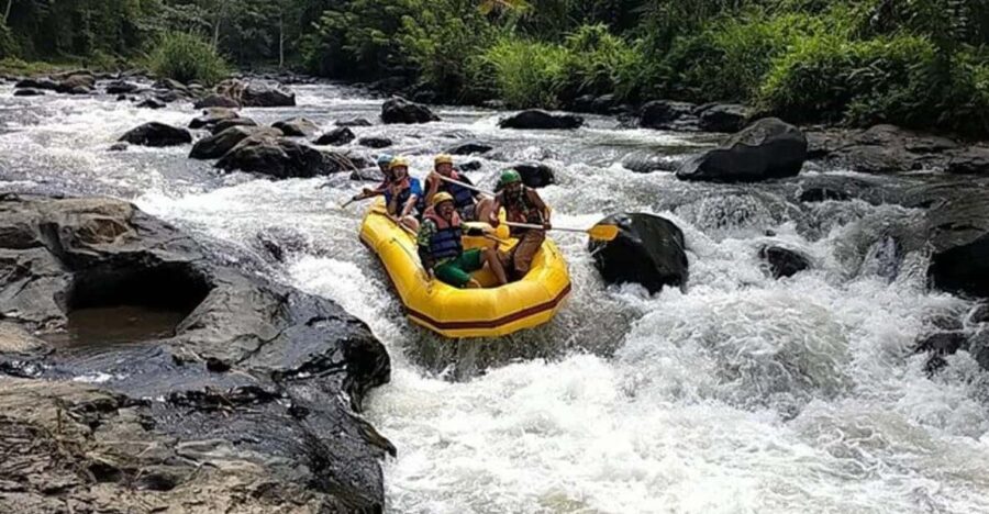 Lombok : White Water Rafting, Ricefield & Waterfall Tour