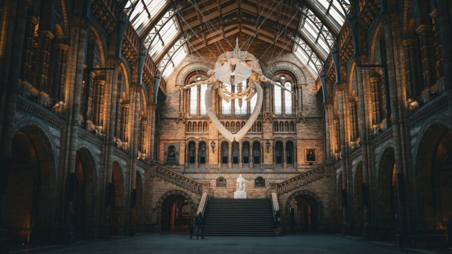 London: Natural History Museum Walking Tour