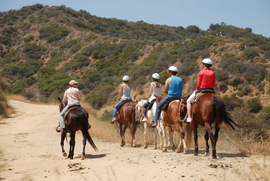 14 Best 2 Hour Tours and Experiences in Los Angeles
