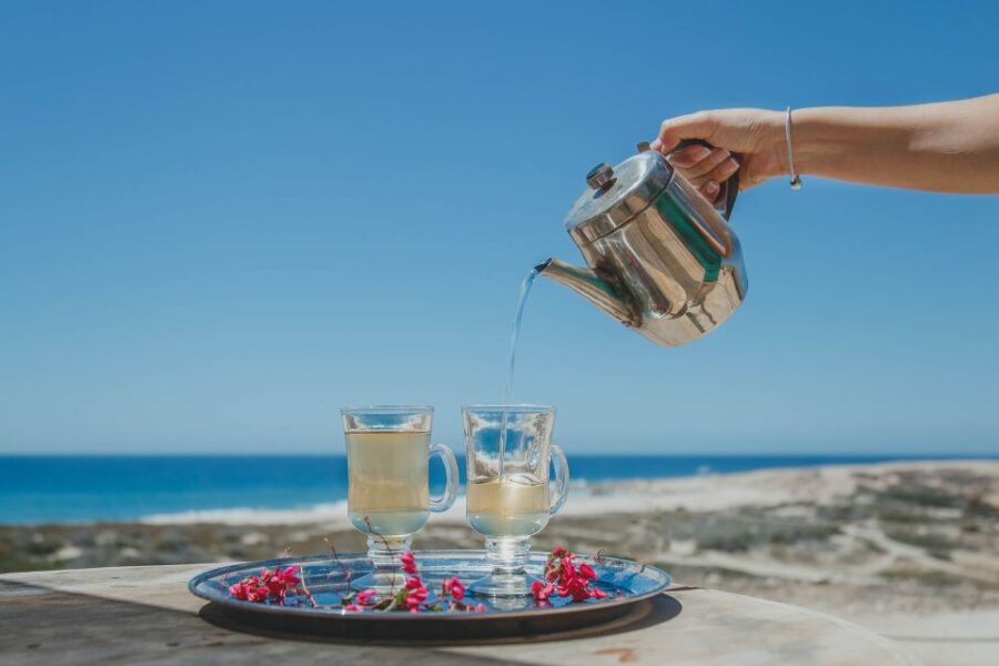 Los Cabos: Camel Ride Safari With Lunch and Tequila Tasting - Activity Overview