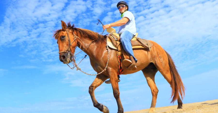 Los Cabos: Horseback Ride on Pacific Beach and Desert