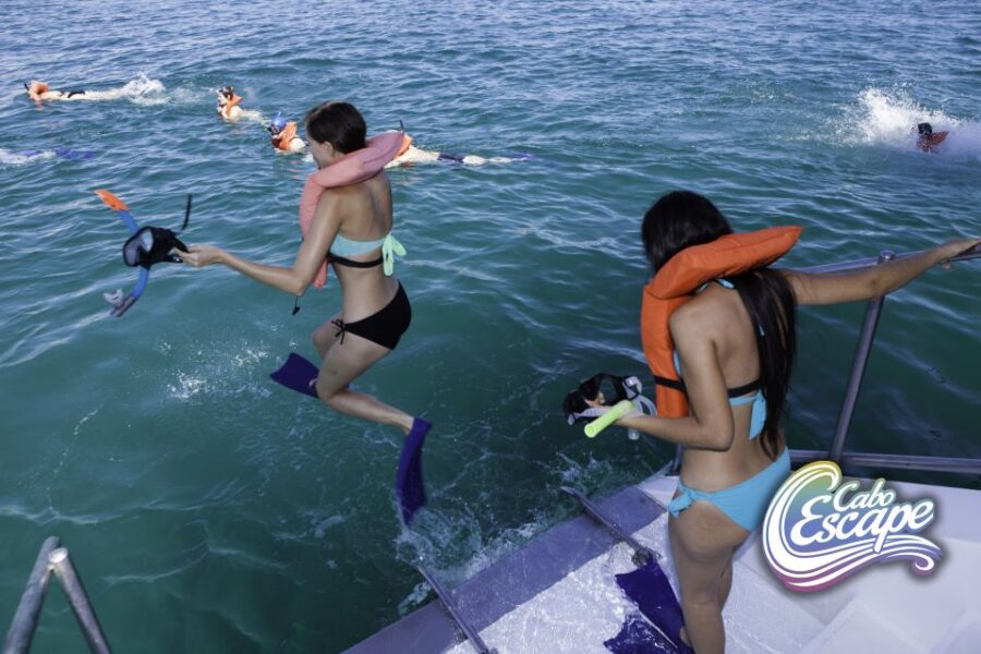 Los Cabos: Snorkel Fun Cruise With Lunch