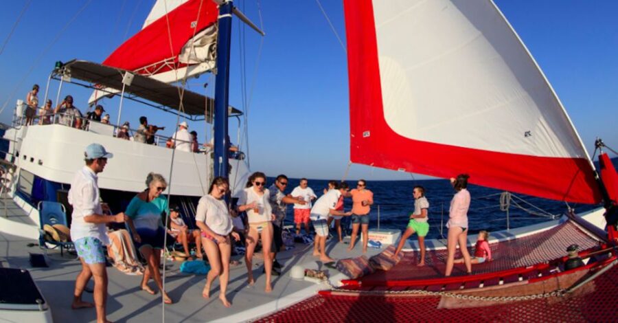 Los Cabos: Snorkeling Discovery Cruise With Lunch or Dinner