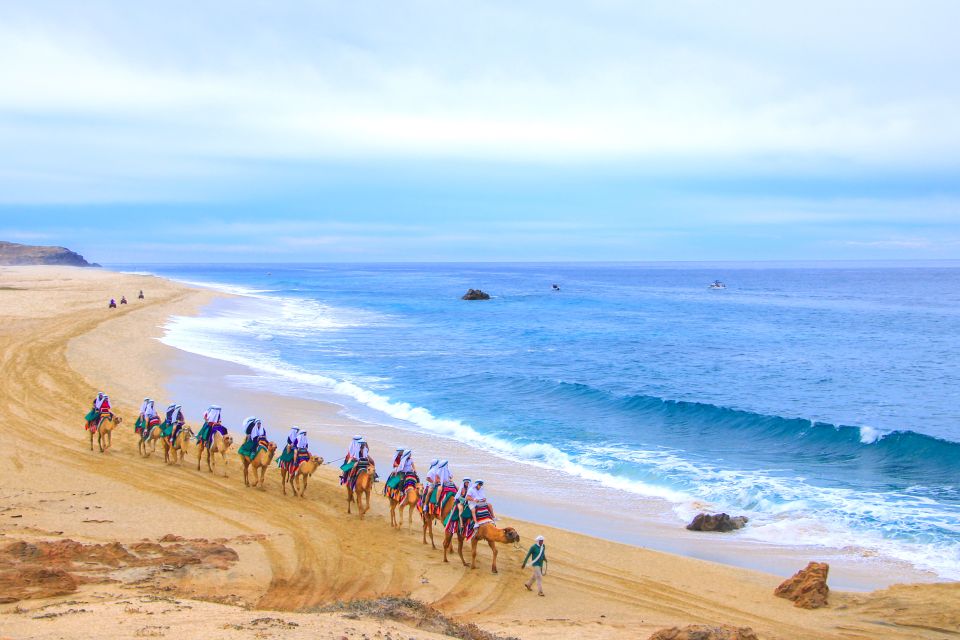 Los Cabos: Sunset Fiesta Dinner Cruise With Camel Ride Tour - Tour Overview and Pricing