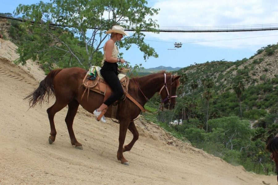 Los Cabos: The Great Fandango Horseback Riding Adventure