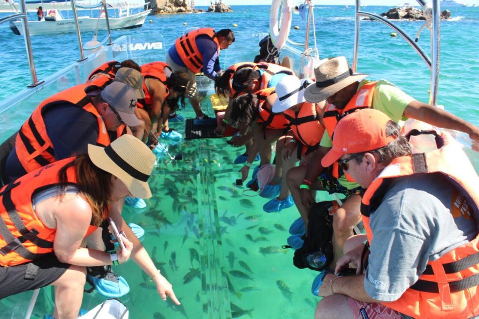 Los Cabos: The Original Glass Bottom Boat Cruise - Activity Overview